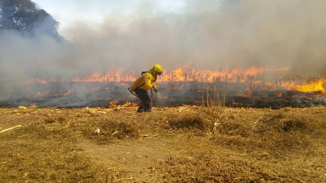 Brigadista combatiendo un incendio de pastizales